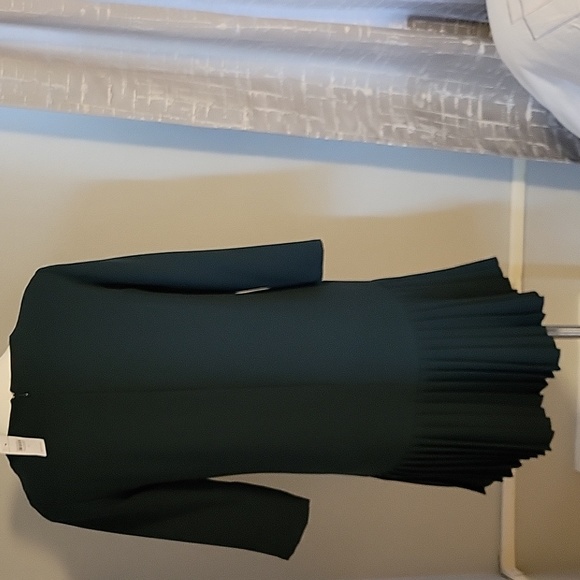 NWT Ann Taylor Dress - Picture 4 of 6